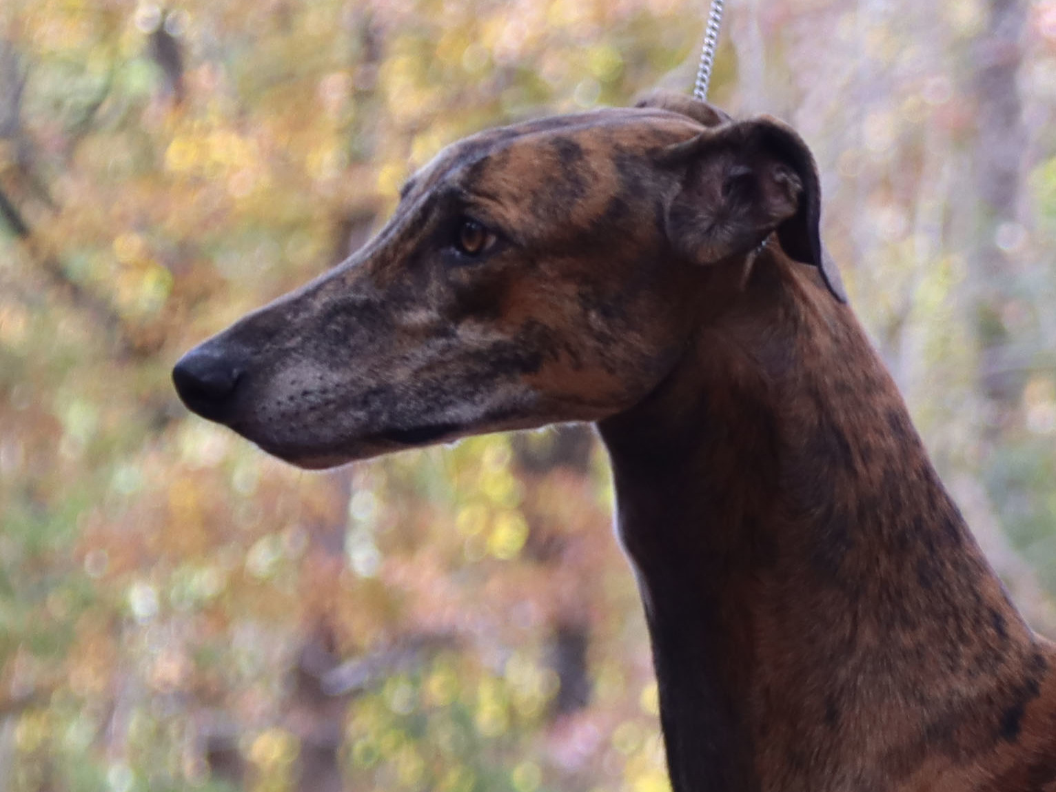 Profile 3