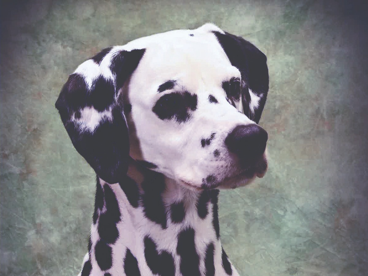 Profile 1