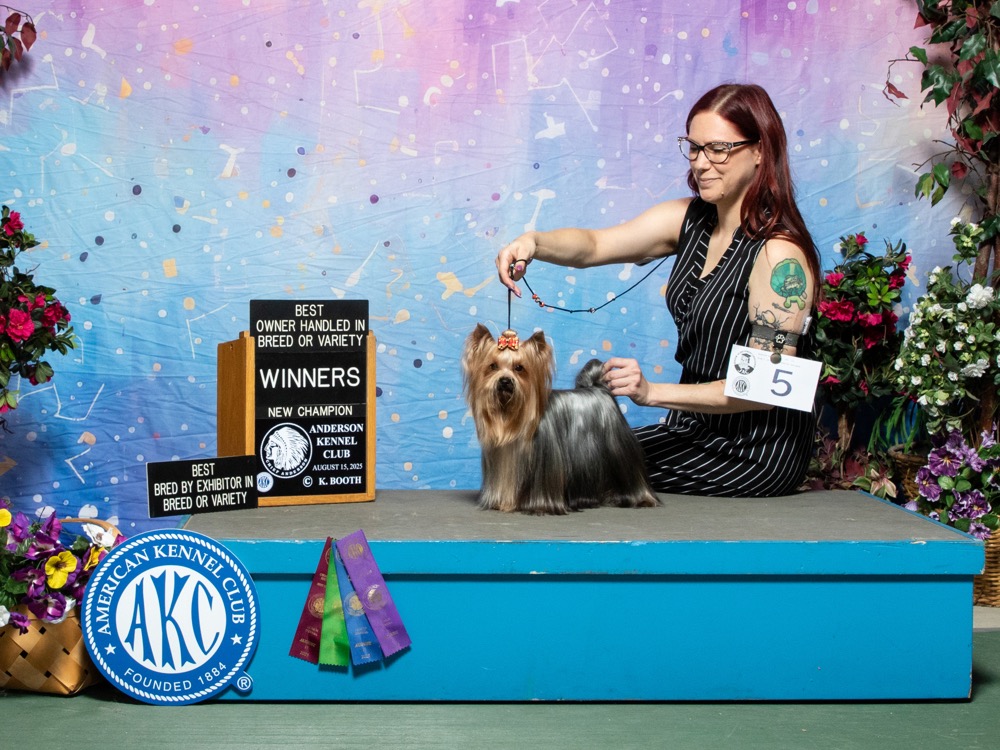 Dog AKC CH RBIS UKC GCH Goose 