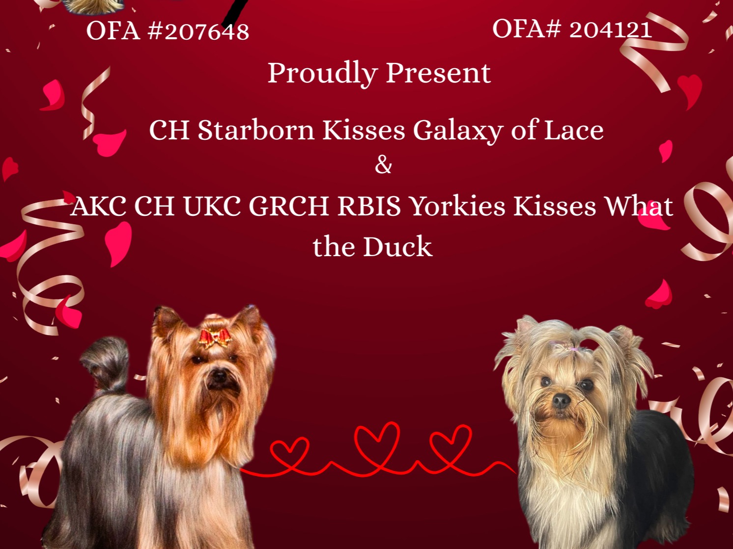 Litter AKC CH RBIS UKC GCH Goose  x Lacie 