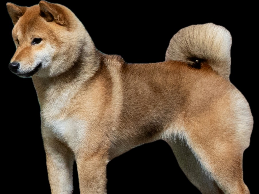 Profile 1