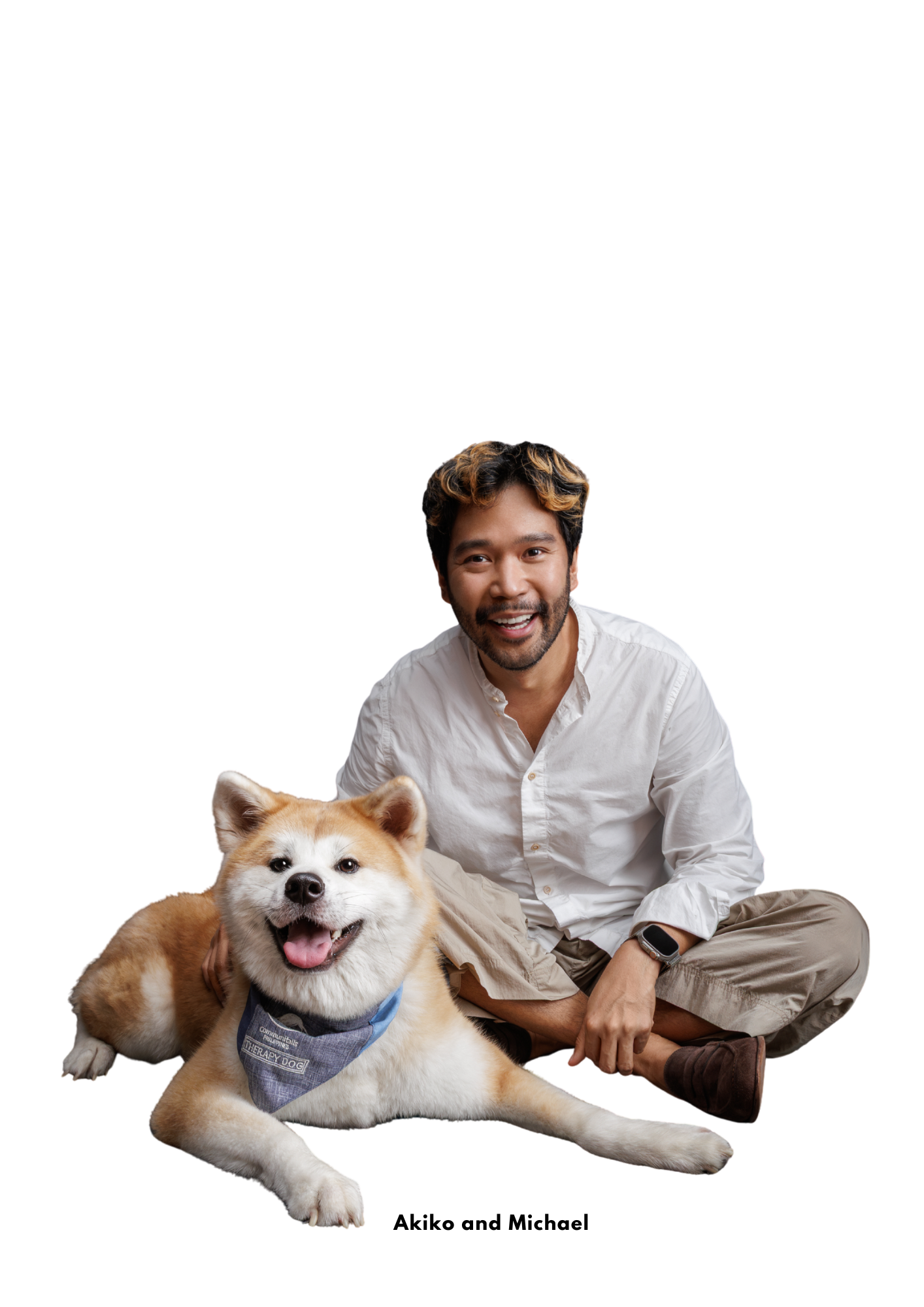 Akiko the Therapy Dog