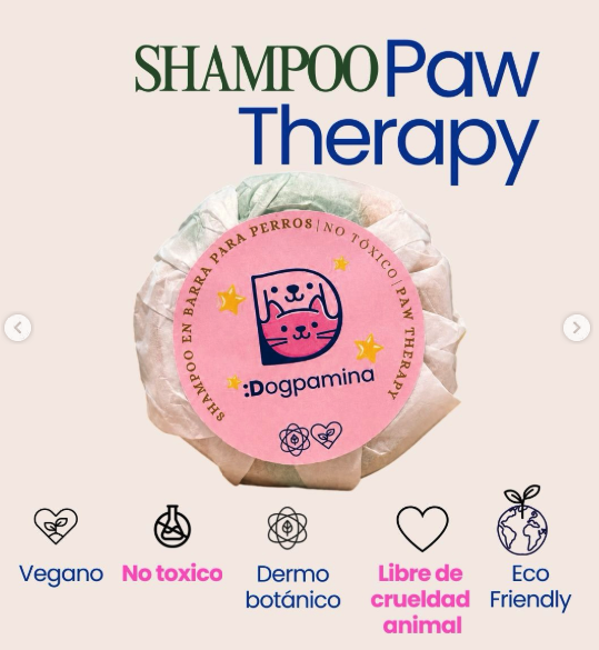 PAW THERAPY