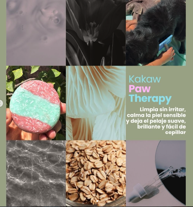 PAW THERAPY miniatura 3