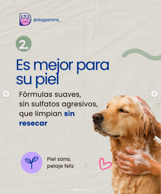 PAW THERAPY miniatura 4