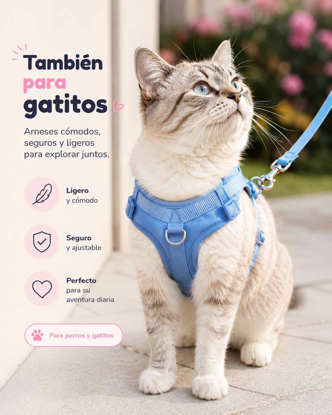 🐾 Kit Paseo PRO miniatura 4