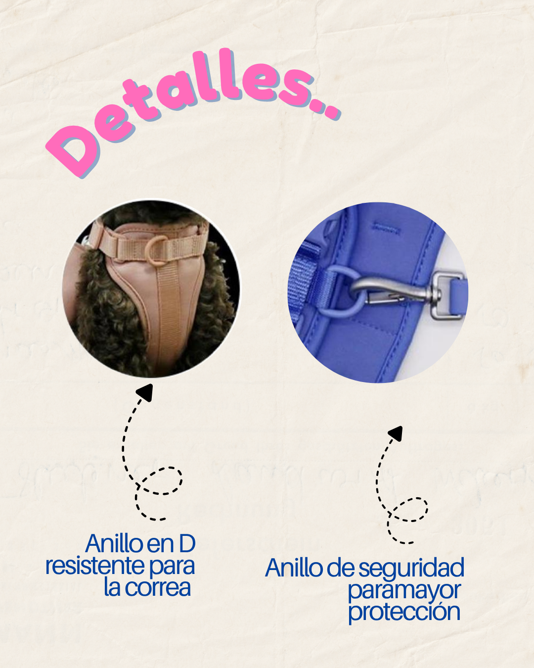 🐾 Kit Paseo PRO miniatura 3