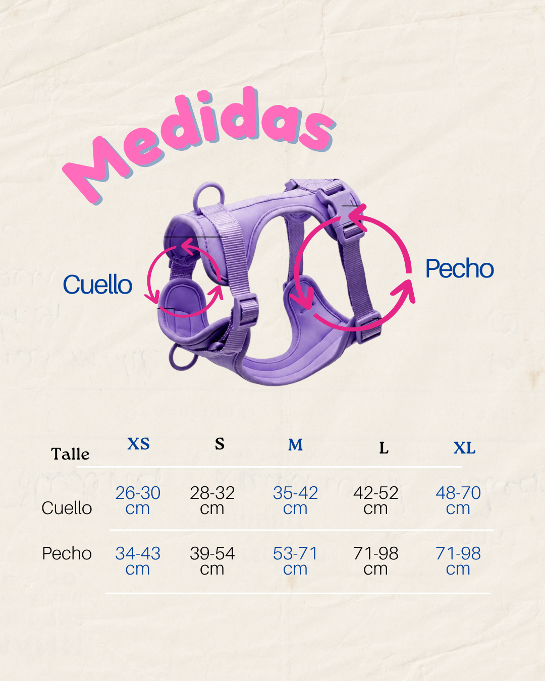 Guía de medidas