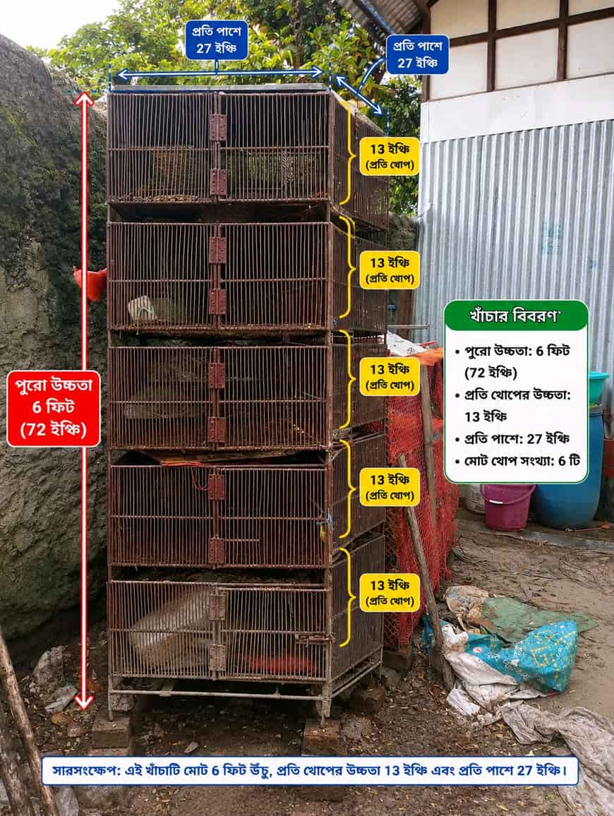 খাঁচা, কোয়েল পাখির খাঁচা, মুরগির খাঁচা