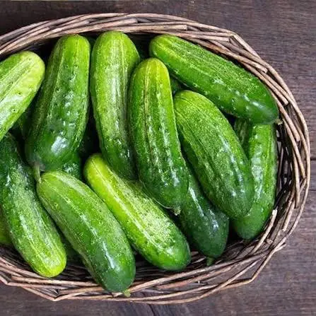 দেশি সশা ১ কেজি