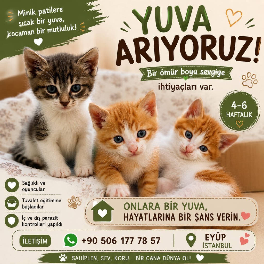 minnoşlar