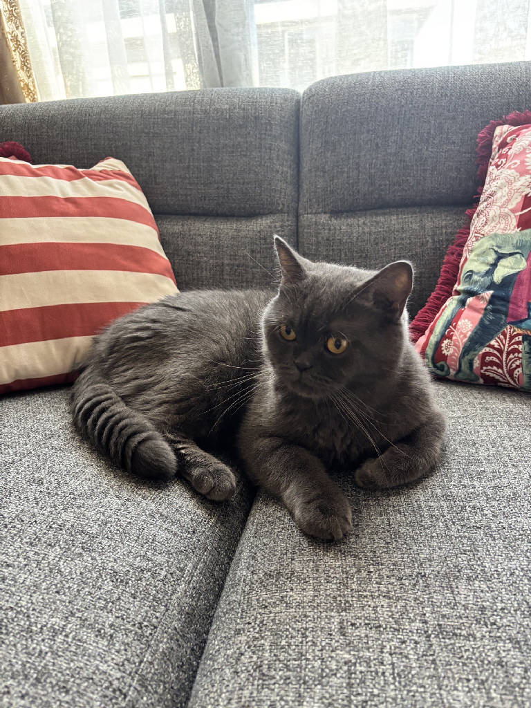 Leo