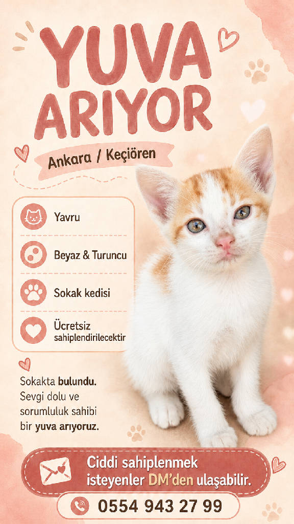 sarı ve beyaz
