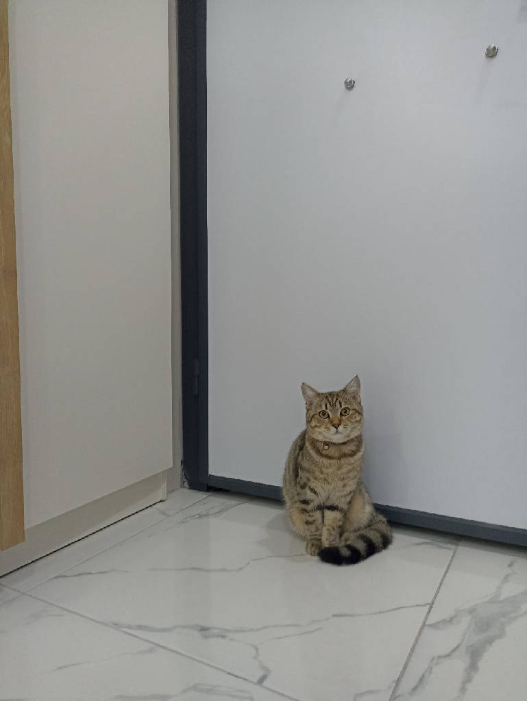 Leo