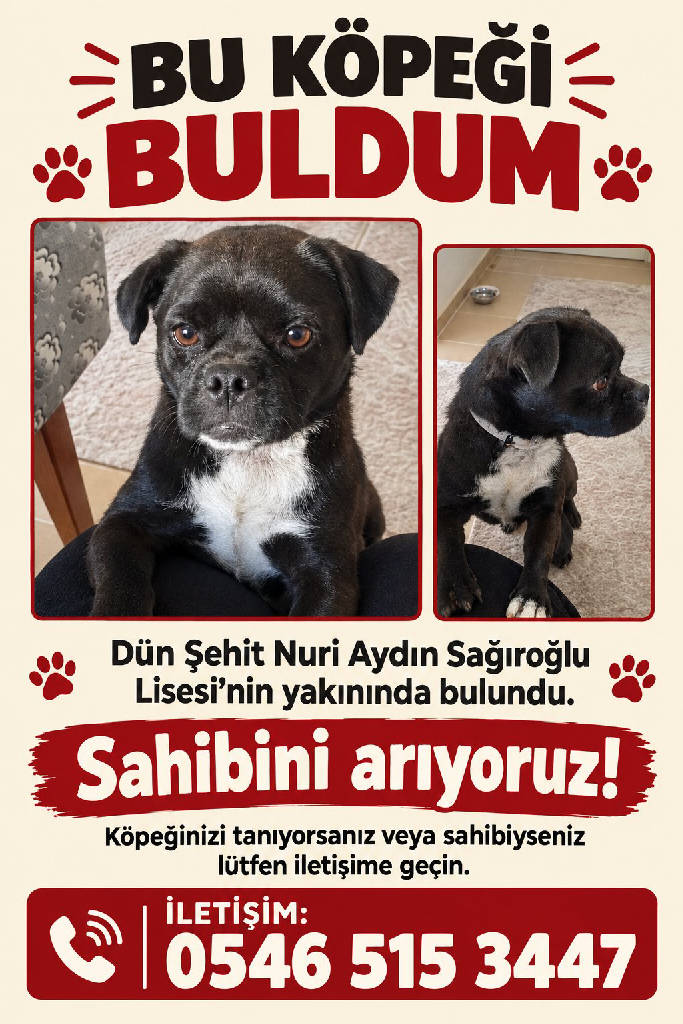 Köpek