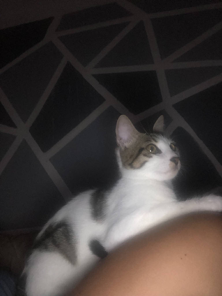 mia