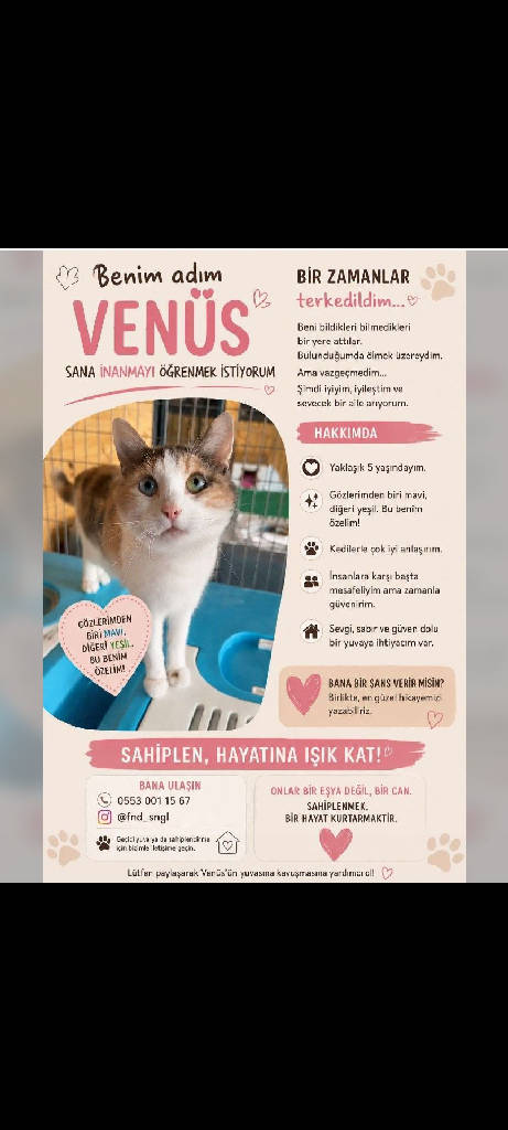 Venüs