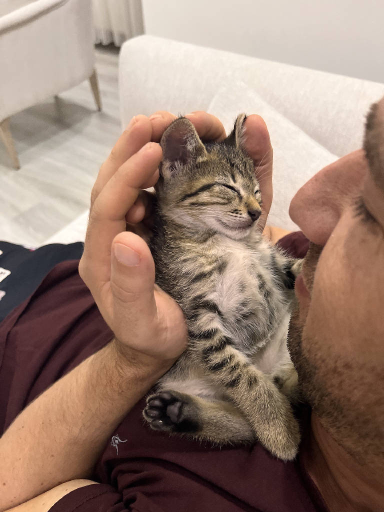 Adını sen koy