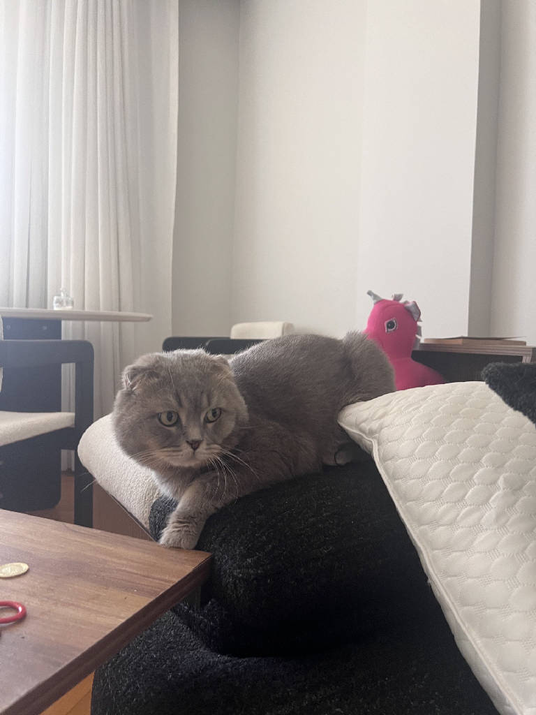 külhan