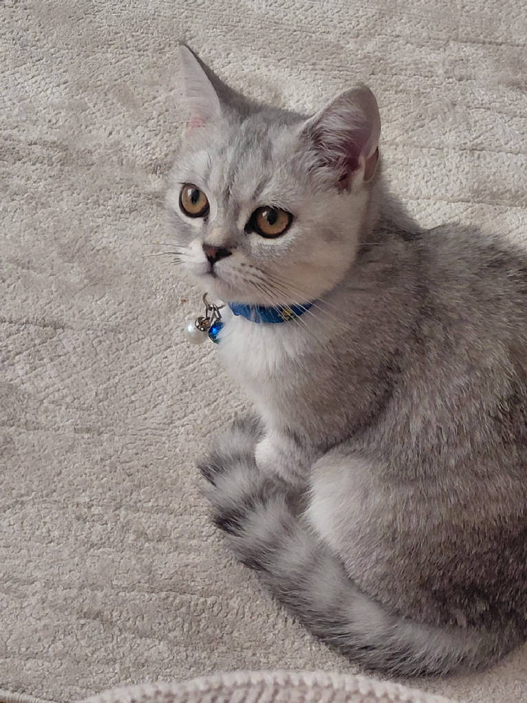 luna