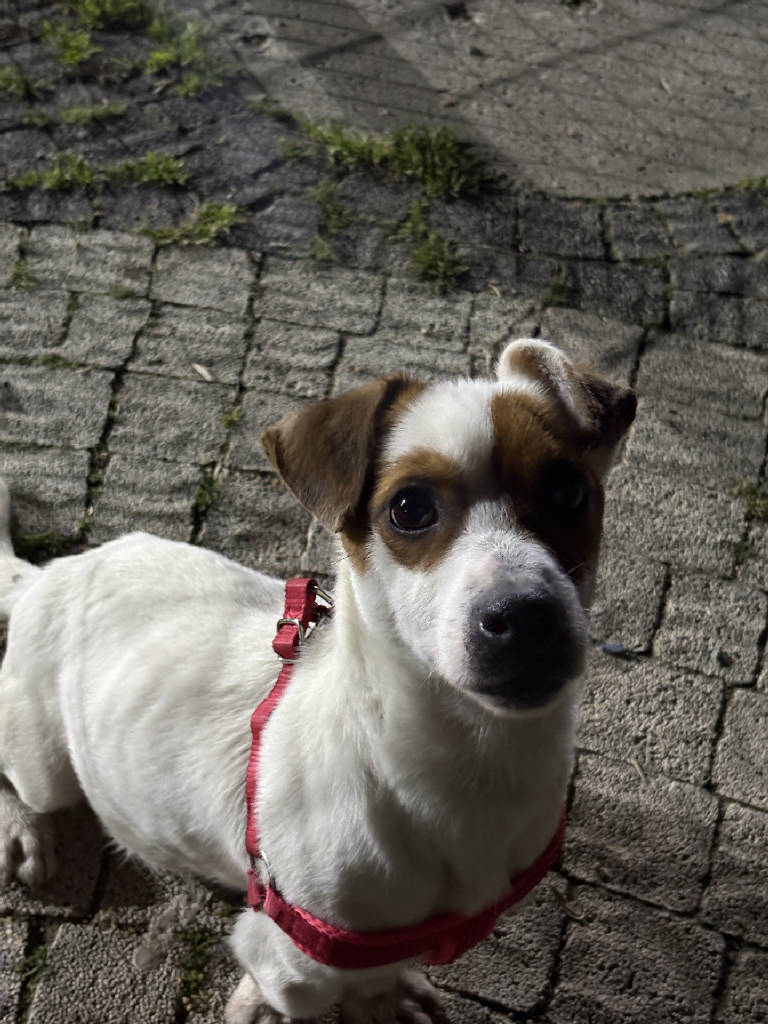 max