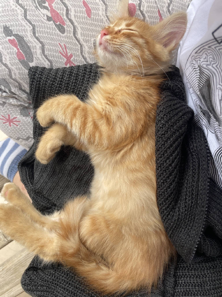 minik