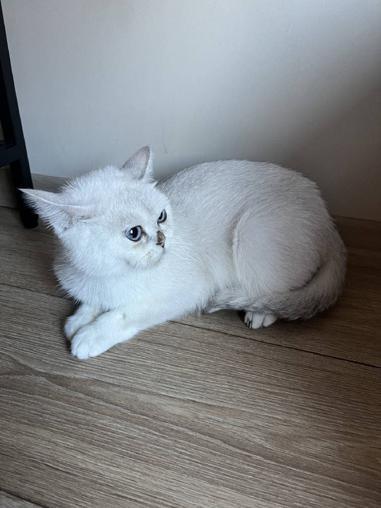ismi bilinmiyor
