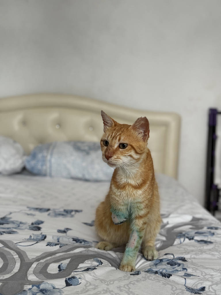 osman