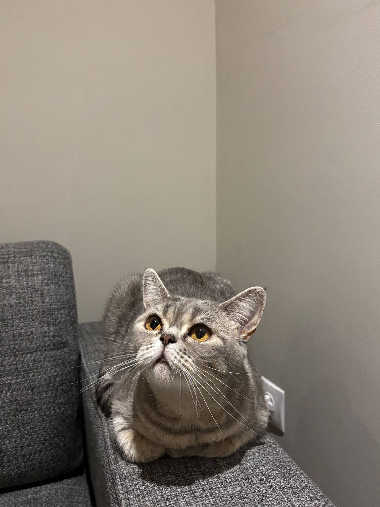 puki