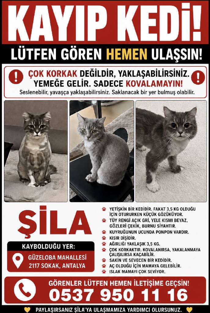 Şila
