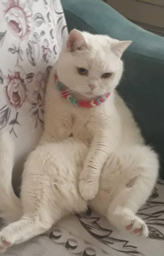 mia
