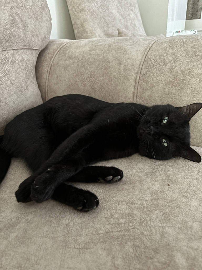 zeytin