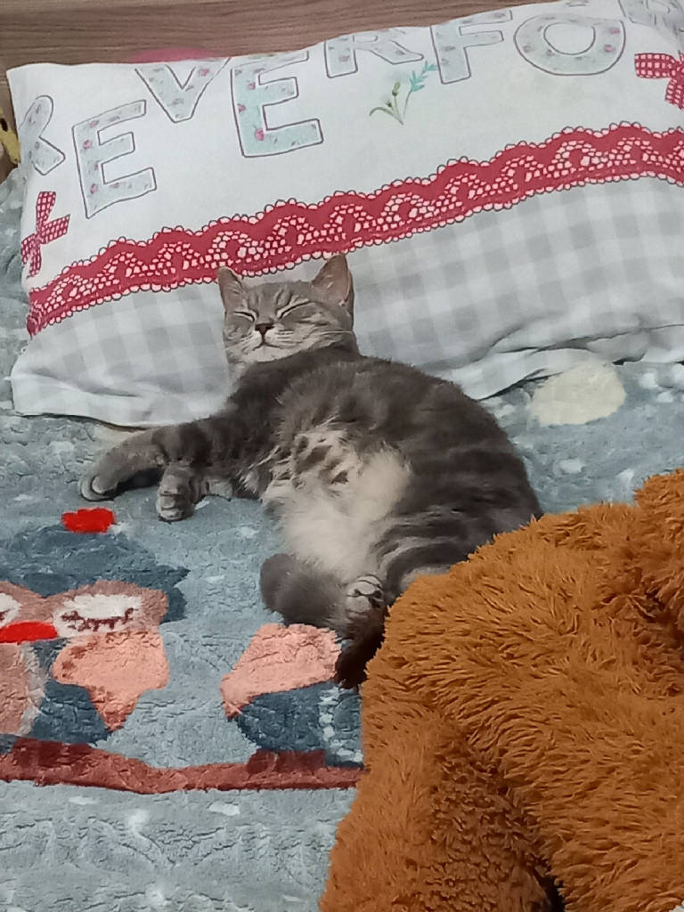 mia