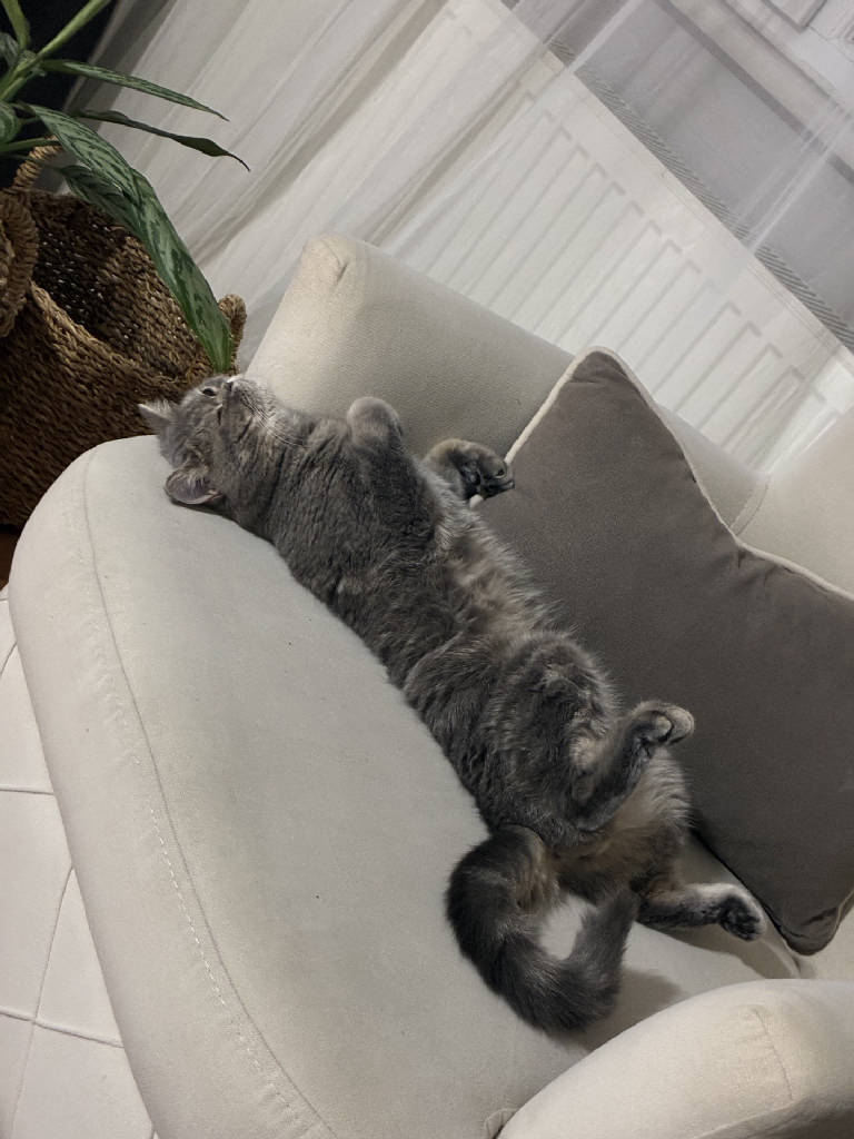 mia