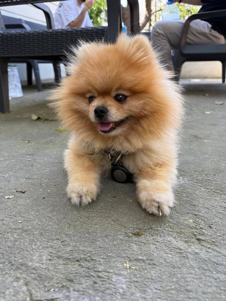Leo