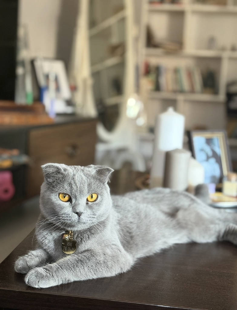 leia