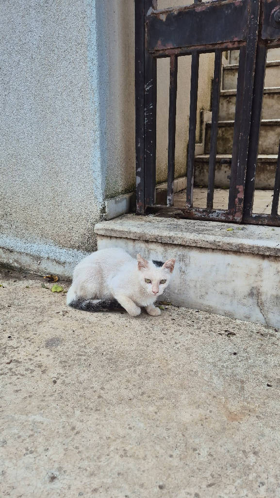 Gönderi görseli 3