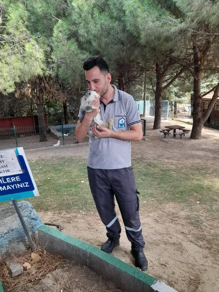 Gönderi görseli 3
