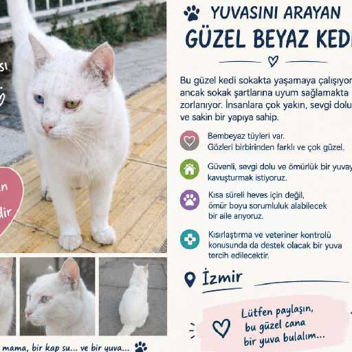 Filiz Küçük