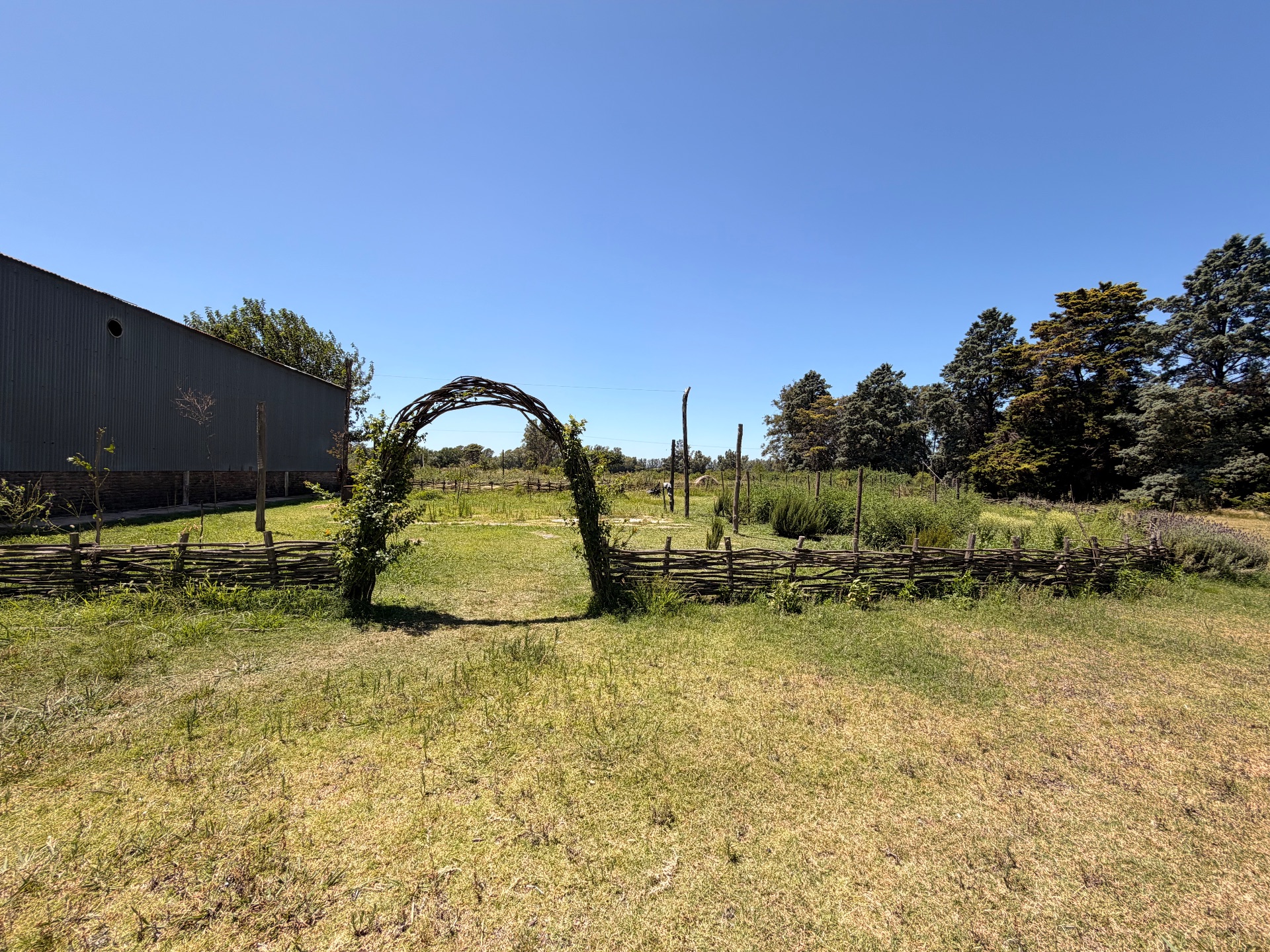 Campo en Zárate — foto 1 de 13