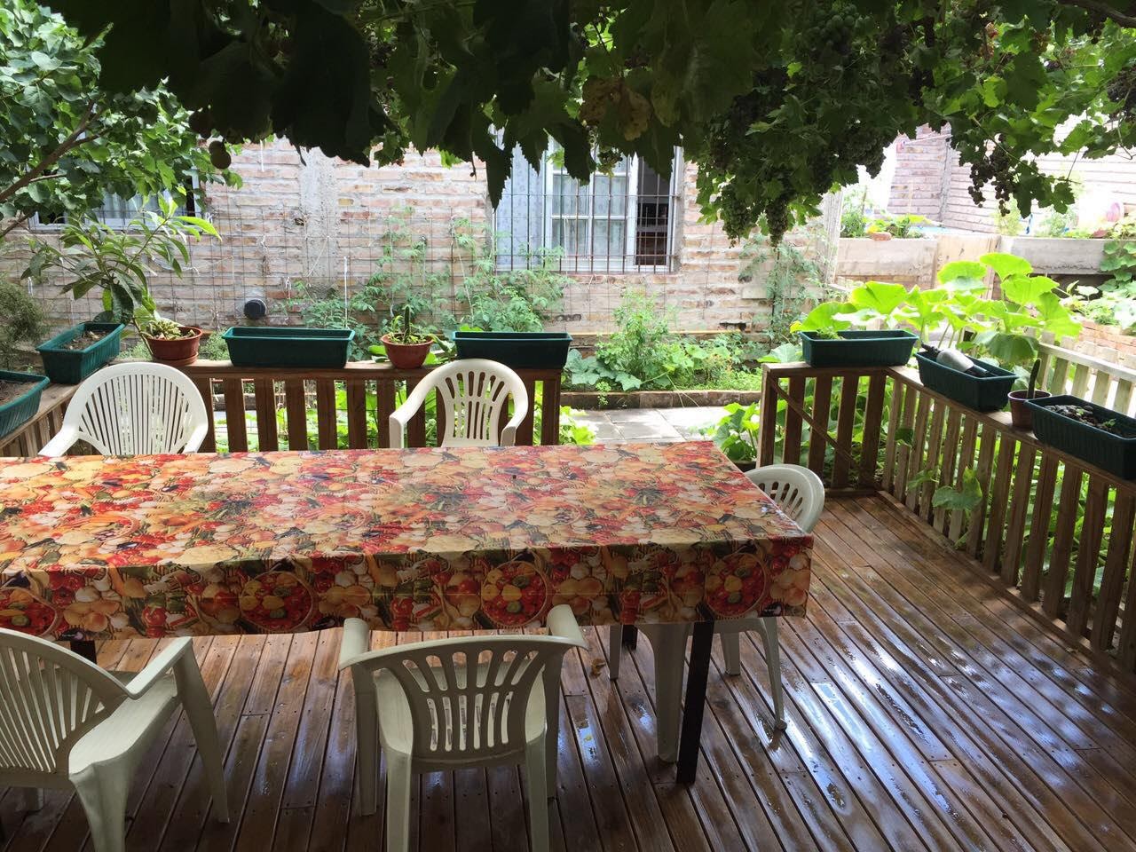 Casa en General Roca