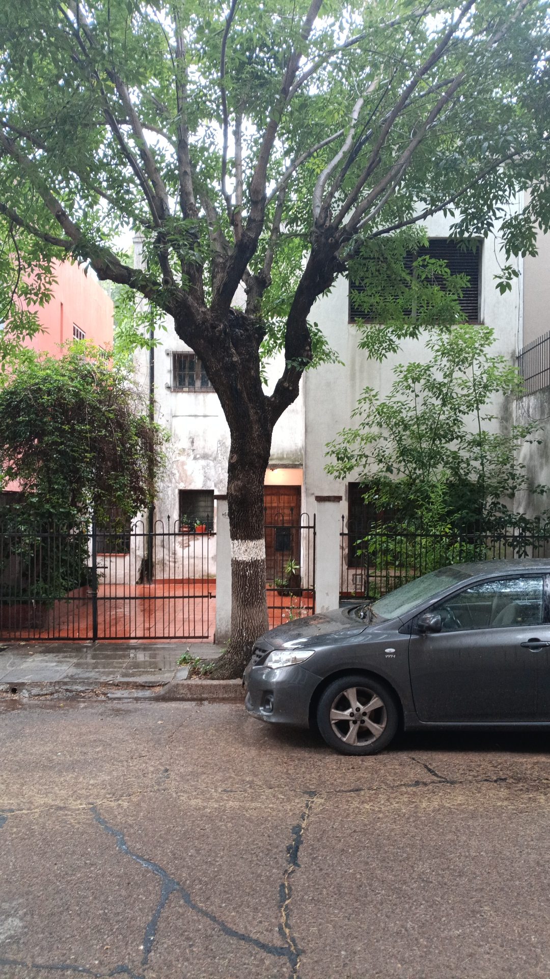 Casa en Flores