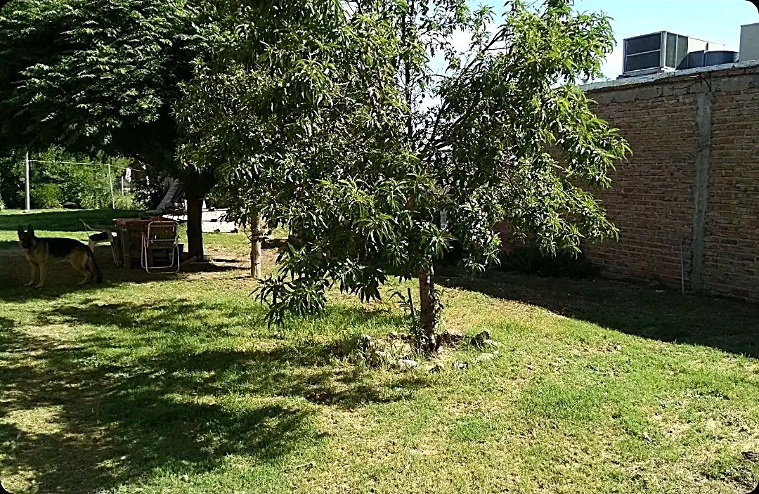Casa en Juana Koslay