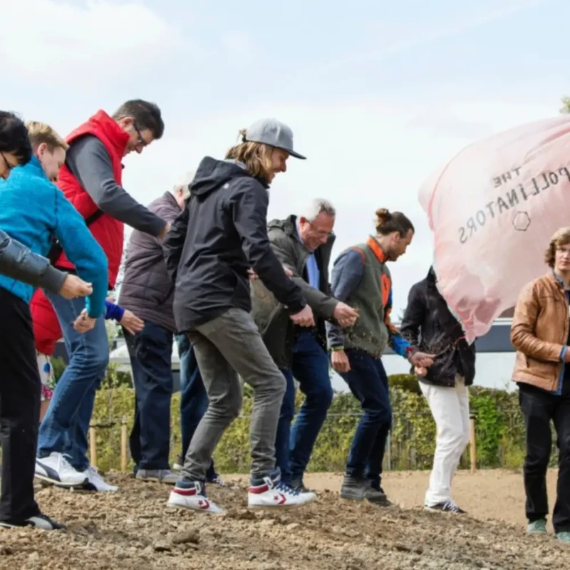Foto van het werk van The Pollinators