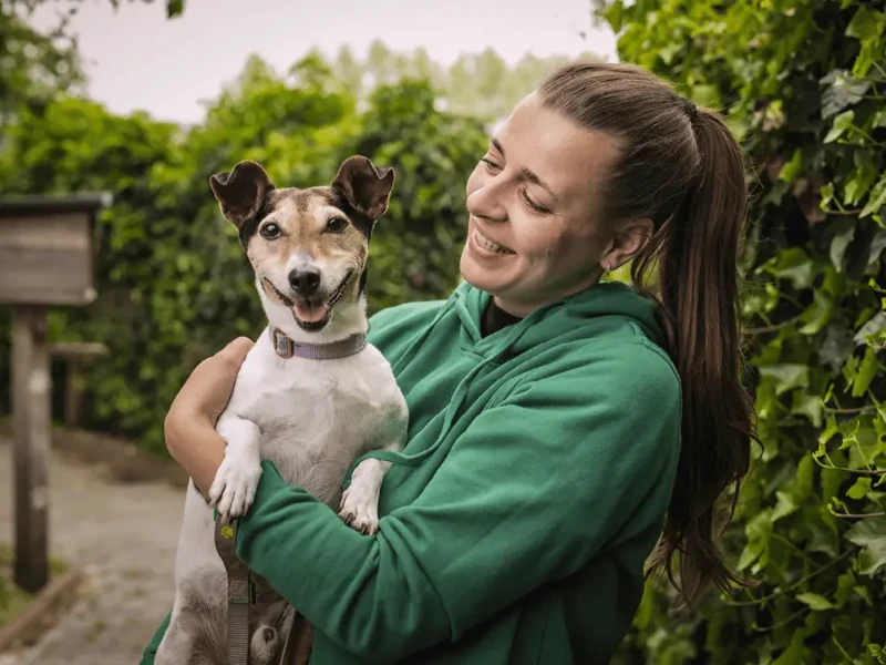 Foto van het werk van DOA Dierenasiel