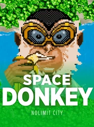 Space Donkey Cover