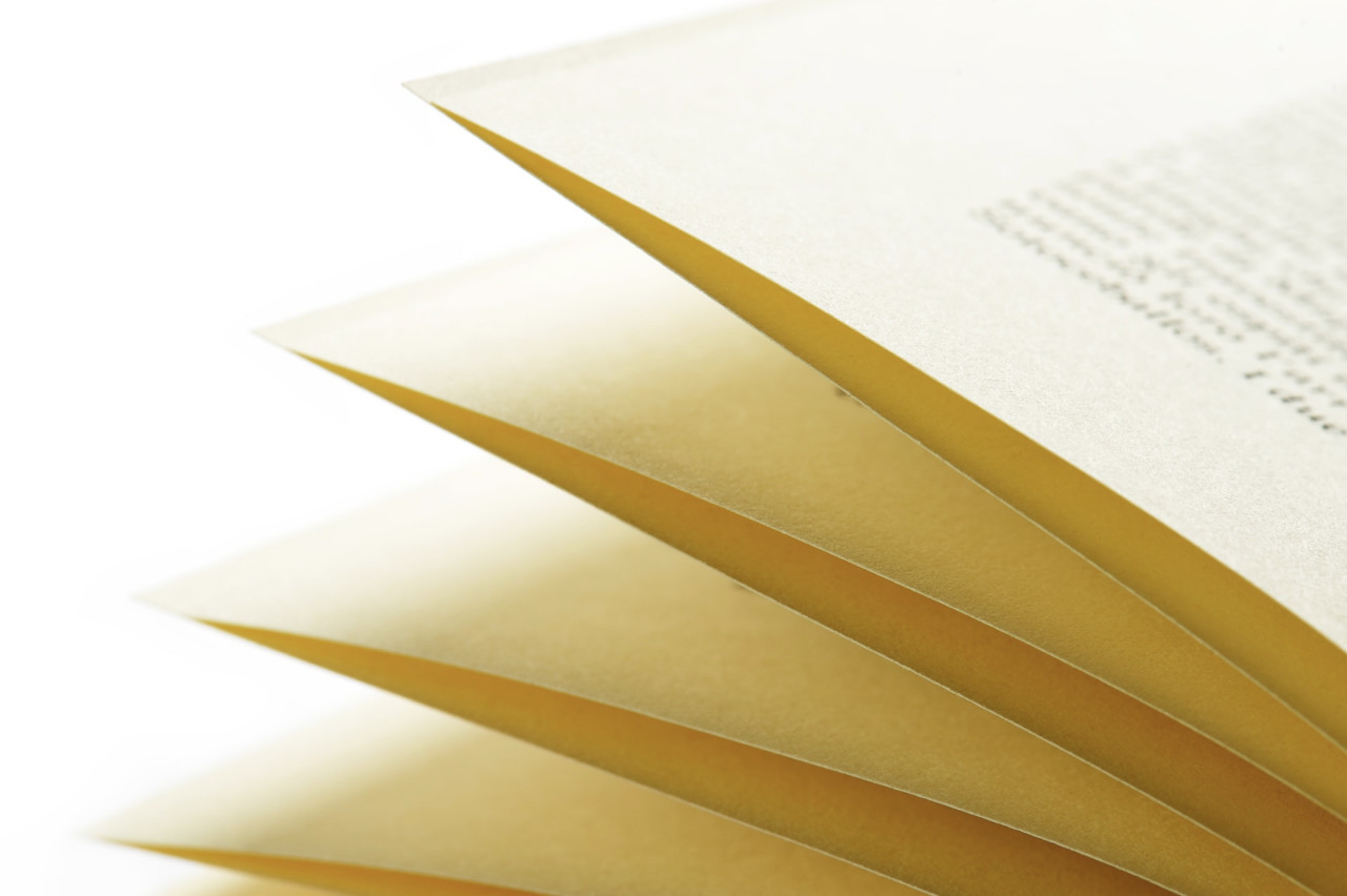 Paginating Documents From Firestore in Your Nuxt Application cover image