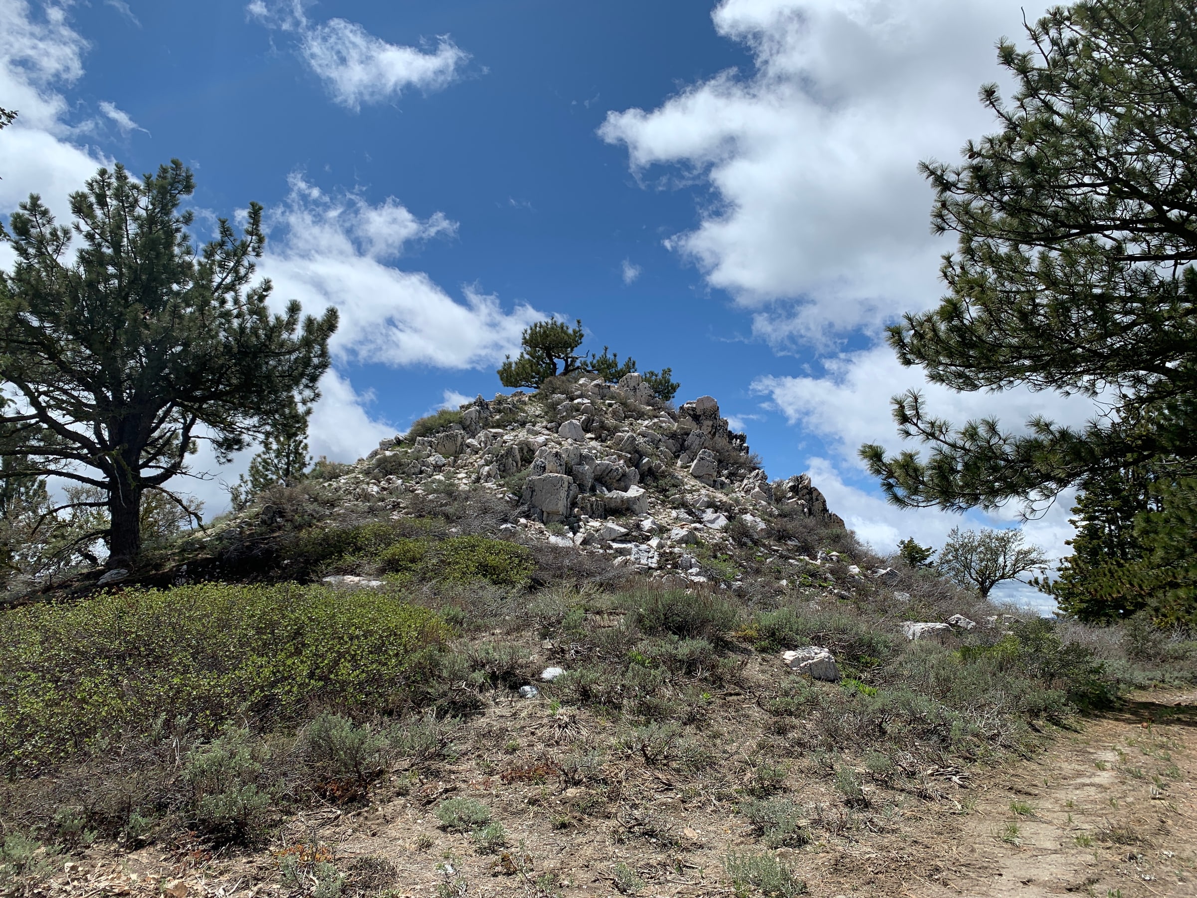Adams Peak in Plumas National Forest