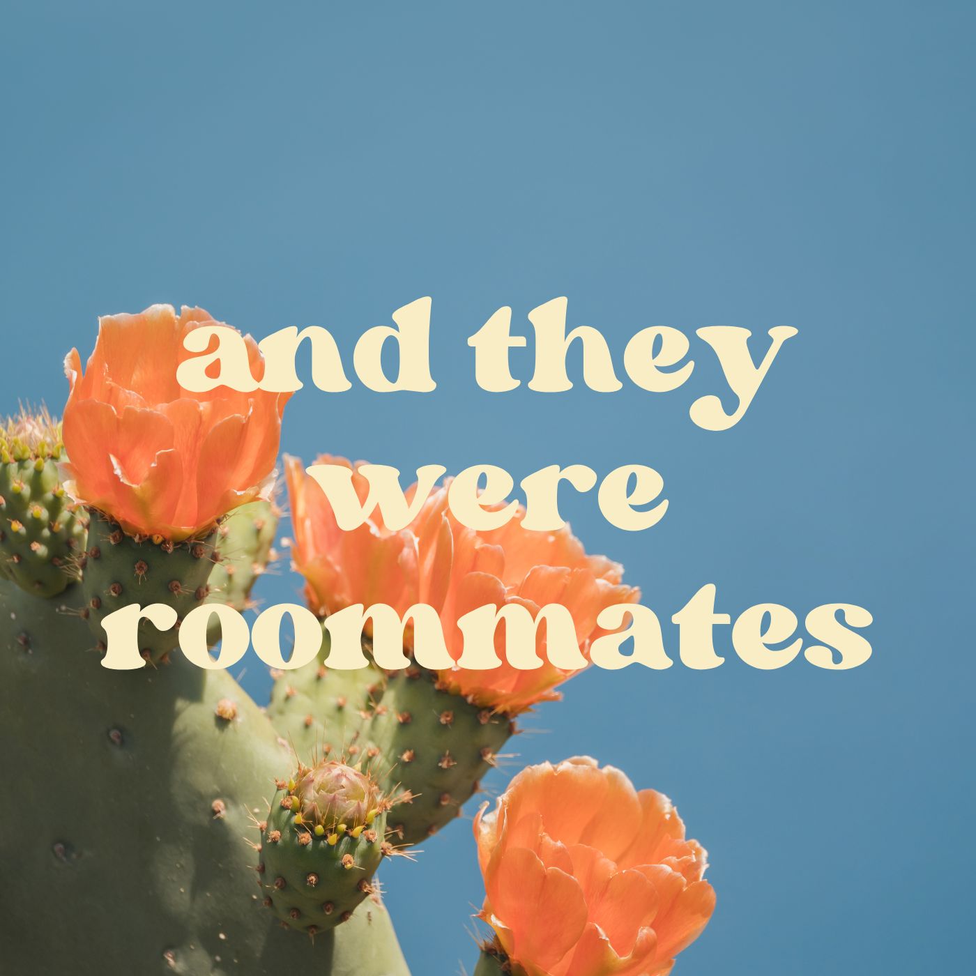 Roommates