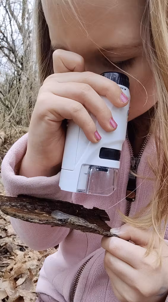 Rachel S. testimonial